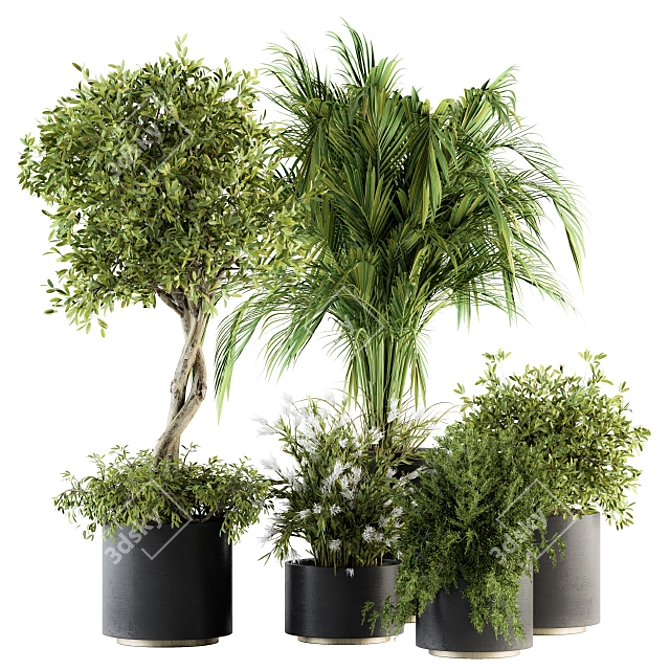 Green Oasis Indoor Plant Set 3D model image 1