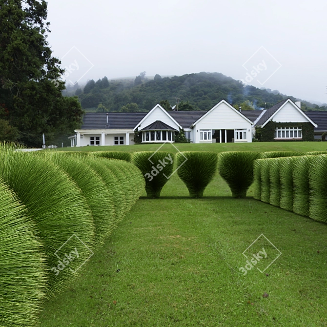 Elegant Maiden Grass for Landscaping 3D model image 3