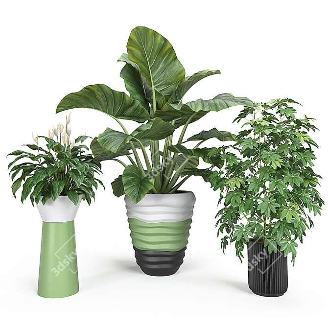 Exquisite Indoor & Outdoor Plant Set 3D model image 2