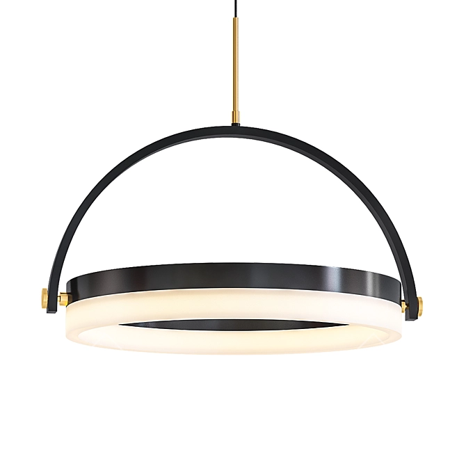 Franz LED Pendant: Sleek, Black & Brass 3D model image 1