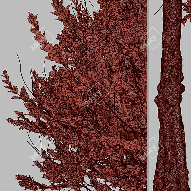 Colorful Photinia Fraseri Tree Set 3D model image 7