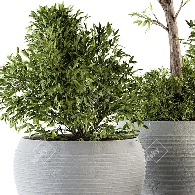 Eco-Serene Indoor Plant Set 3D model image 3