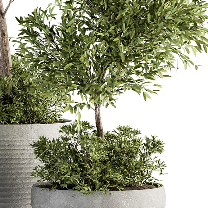 Eco-Serene Indoor Plant Set 3D model image 4