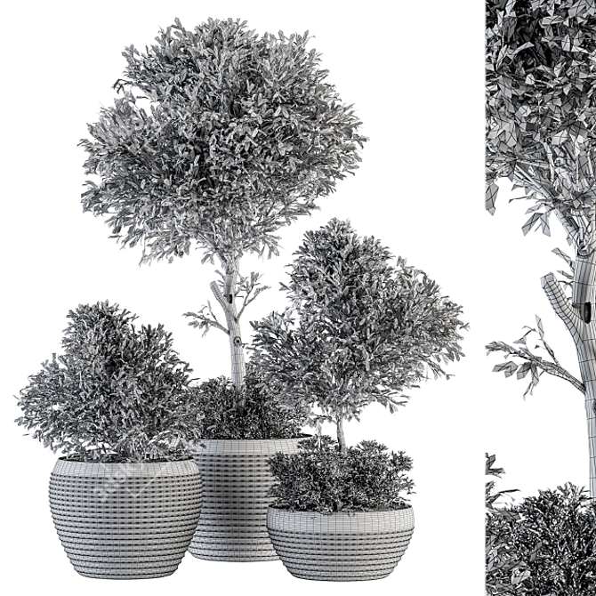Eco-Serene Indoor Plant Set 3D model image 5