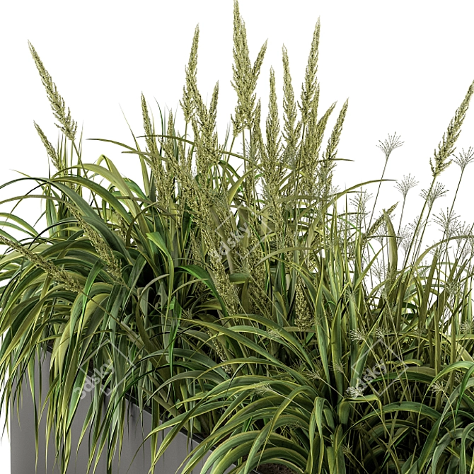 Lush Green Outdoor Grass Kit 3D model image 4