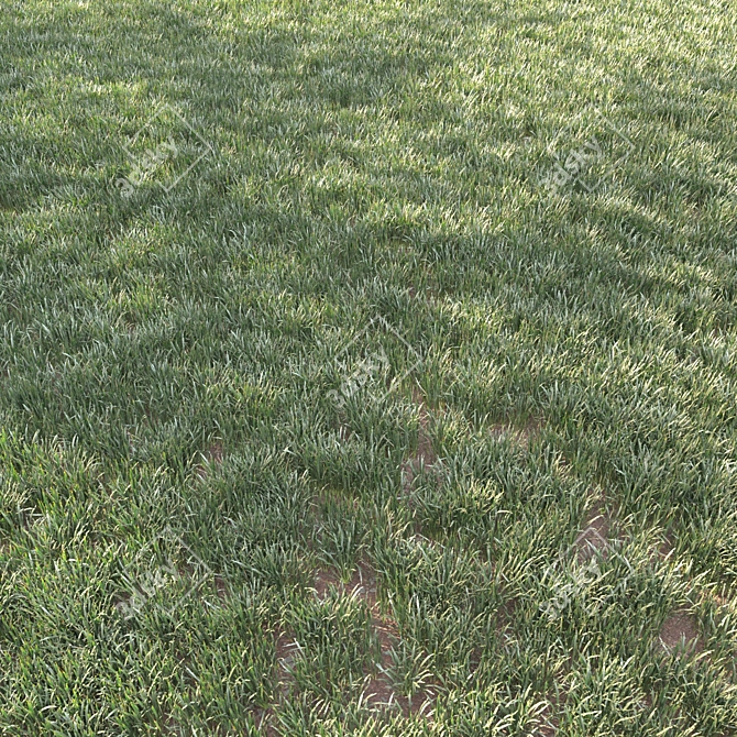 Green Grass Landscaping Solution 3D model image 2