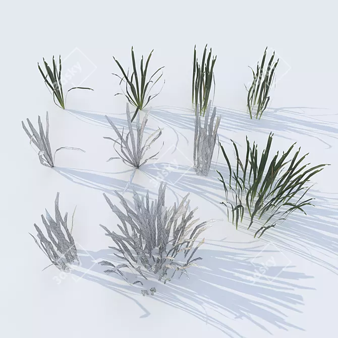 Green Grass Landscaping Solution 3D model image 5