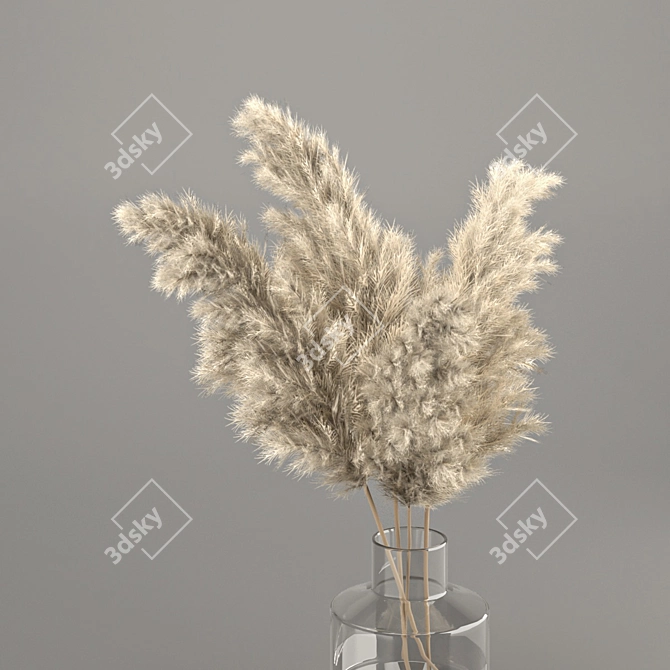 Glass Vase 3-in-1 Dry Plant 3D model image 2