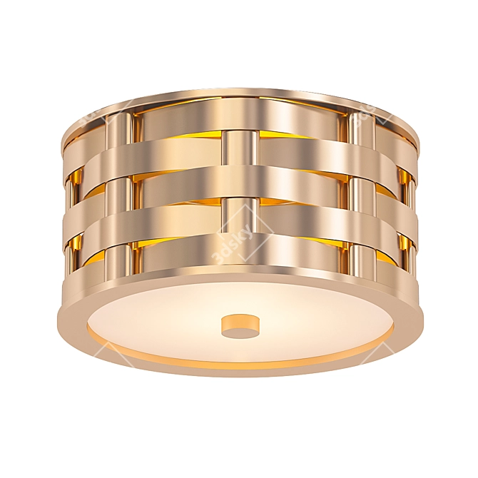 Ella Woven Ceiling Light 3D model image 1