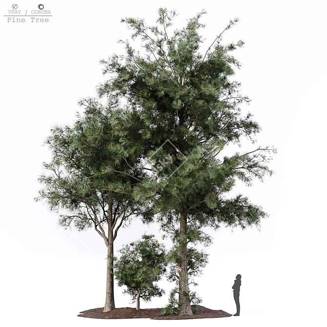 Lush Pine Tree: High-Quality 3D Model 3D model image 1