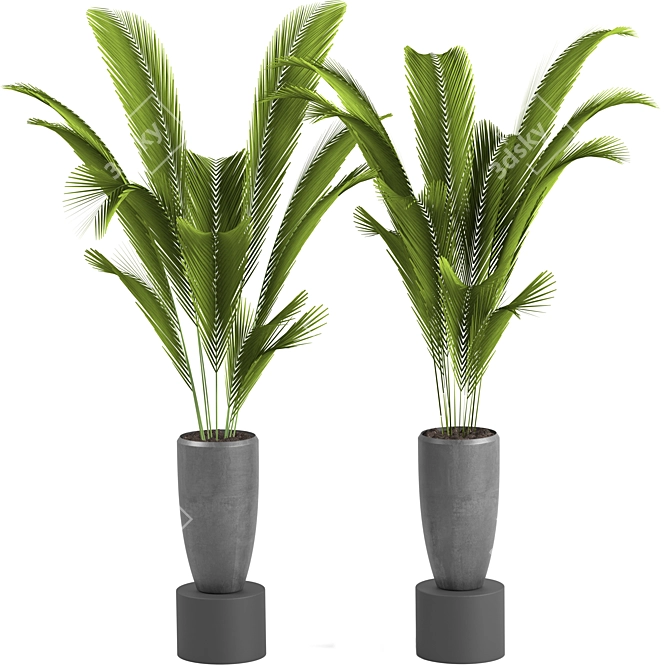 Exotic Indoor Houseplants For Stylish Interiors 3D model image 3