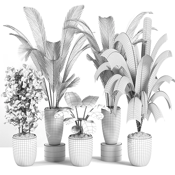 Exotic Indoor Houseplants For Stylish Interiors 3D model image 6