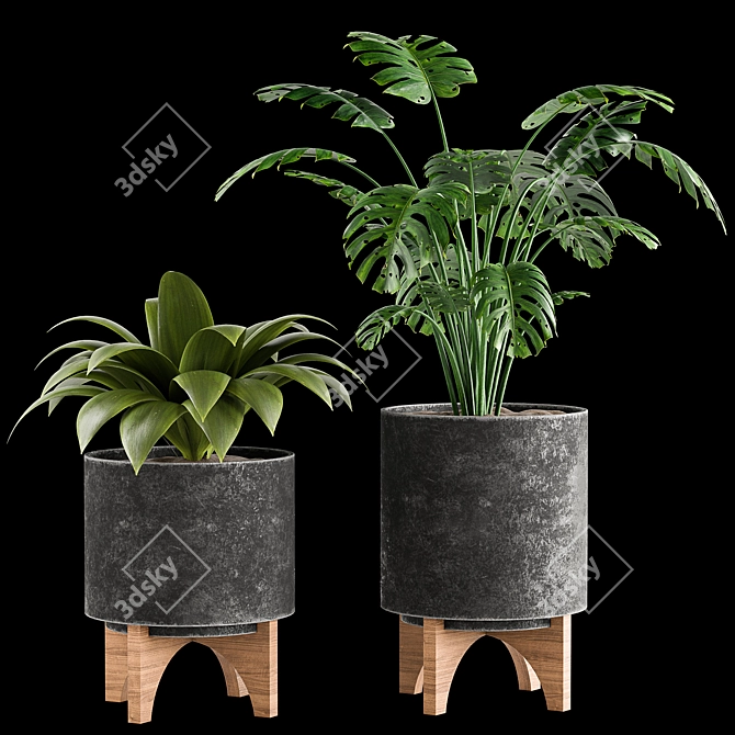 Indoor Plants Collection 3D model image 5
