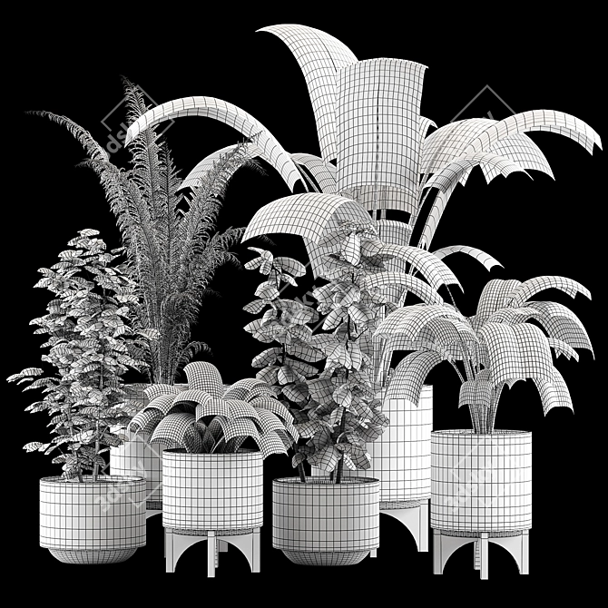 Indoor Plants Collection 3D model image 6