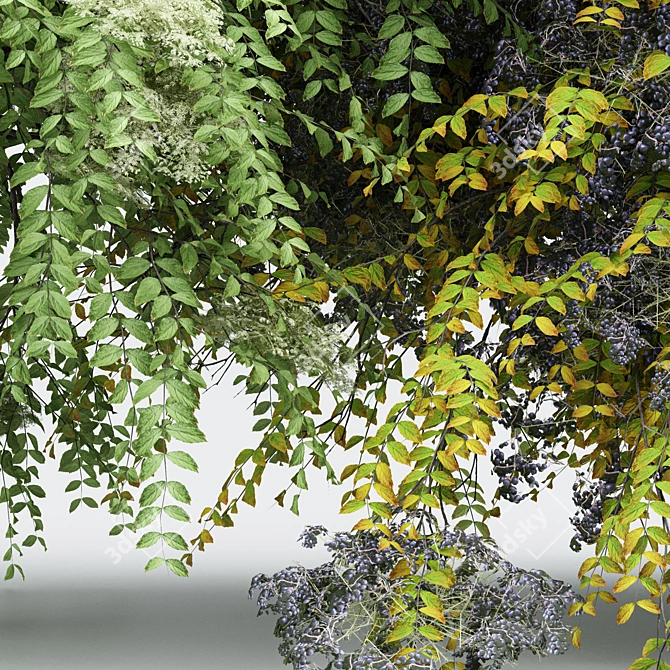 Japanese Angelica: Exquisite Bush Collection 3D model image 2