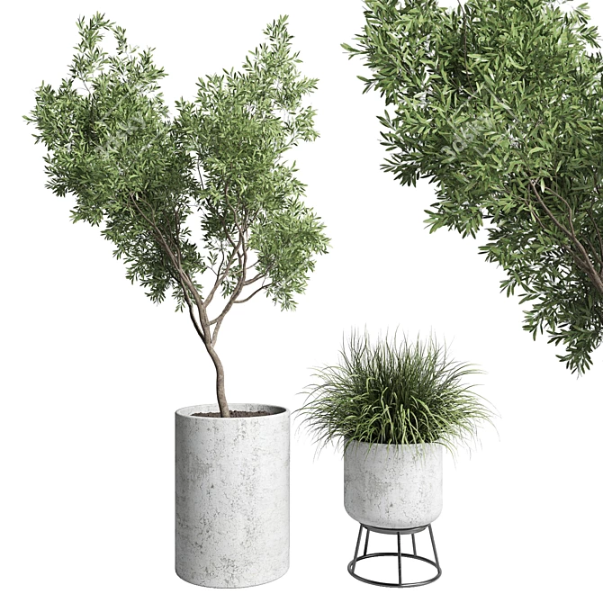 32-Piece Concrete Vase Outdoor Plant Collection 3D model image 1