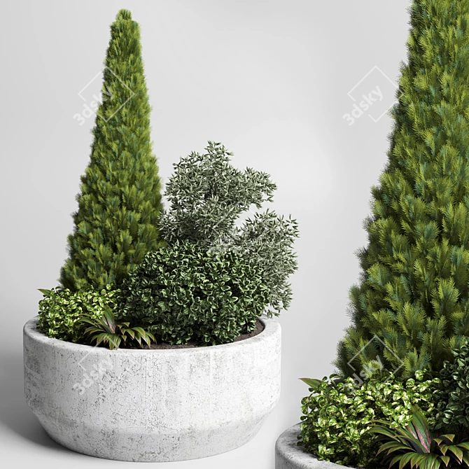 Outdoor Plant Collection: Grass & Thuja Bush in Concrete Vase 3D model image 1