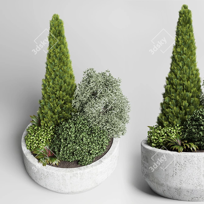 Outdoor Plant Collection: Grass & Thuja Bush in Concrete Vase 3D model image 2