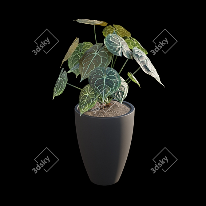 Exquisite Anthurium Clarinervium 3D model image 4