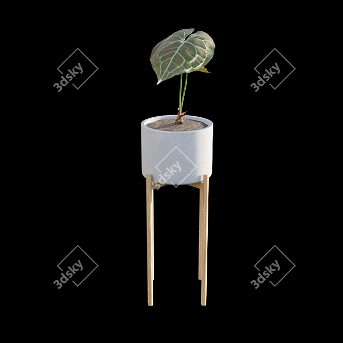 Exquisite Anthurium Clarinervium 3D model image 6