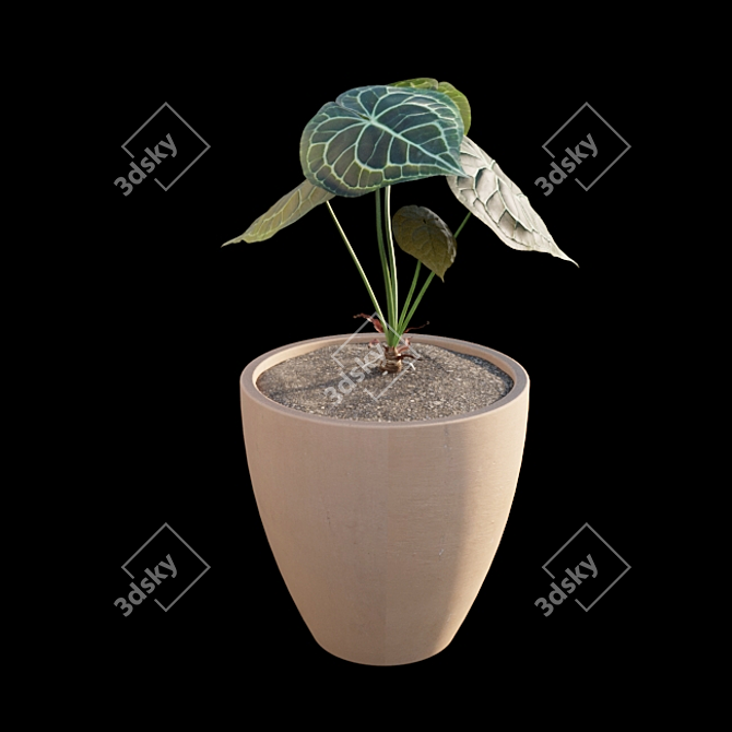 Exquisite Anthurium Clarinervium 3D model image 7