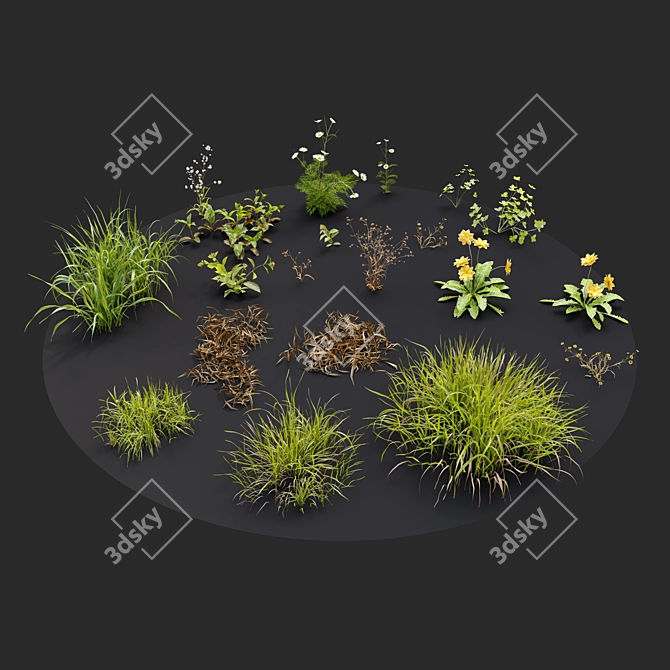 Lush Meadow Scatter Set 3D model image 3