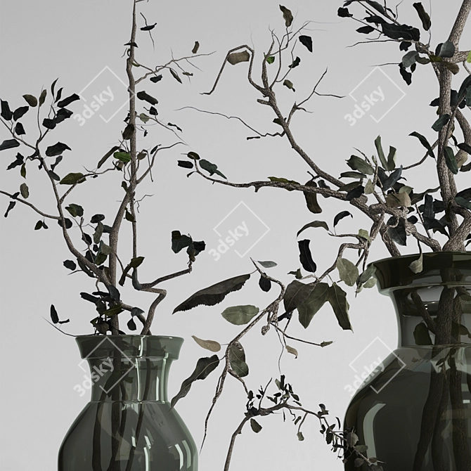 Dried Olive Branch Bouquet in Glass Vase 3D model image 4