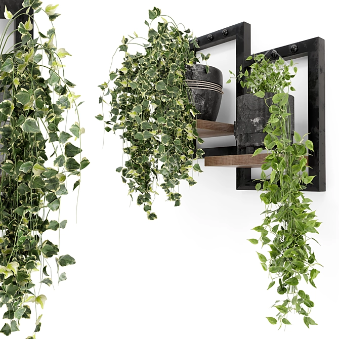 Rustic Indoor Plants - Set 150 3D model image 1