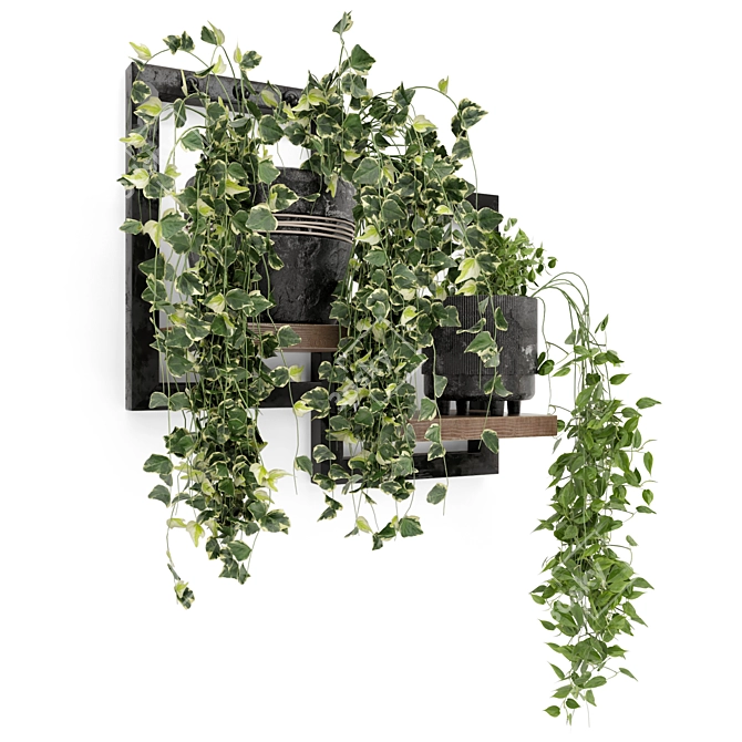 Rustic Indoor Plants - Set 150 3D model image 6