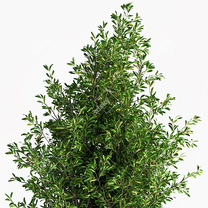 Concrete Box Outdoor Plant: Stunning and Low-Maintenance 3D model image 2