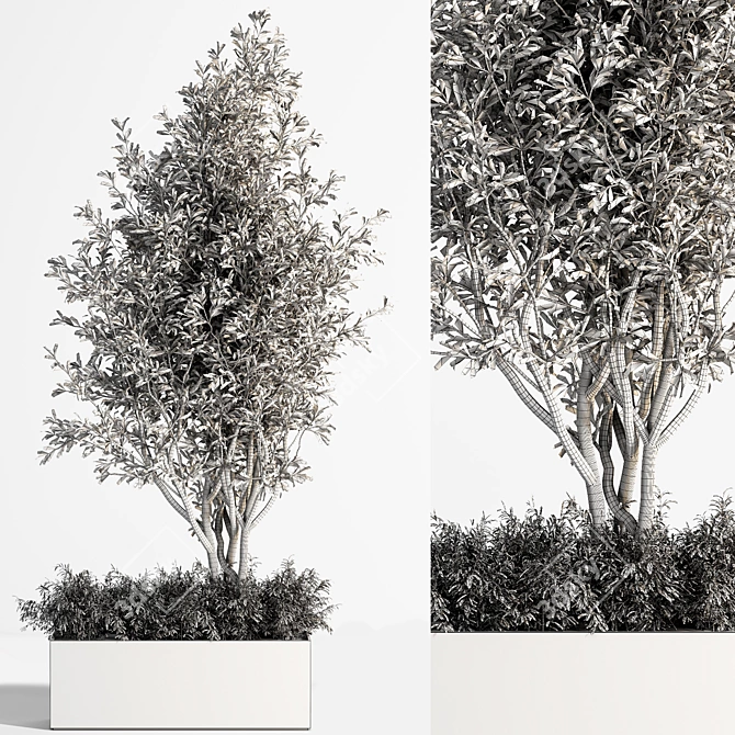 Concrete Box Outdoor Plant: Stunning and Low-Maintenance 3D model image 4