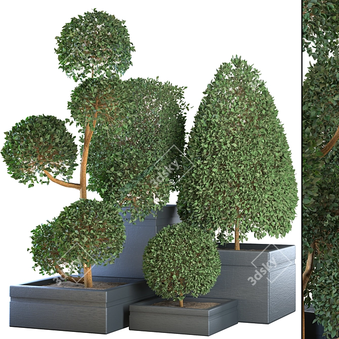 Stunning Indoor Plant Collection 3D model image 1