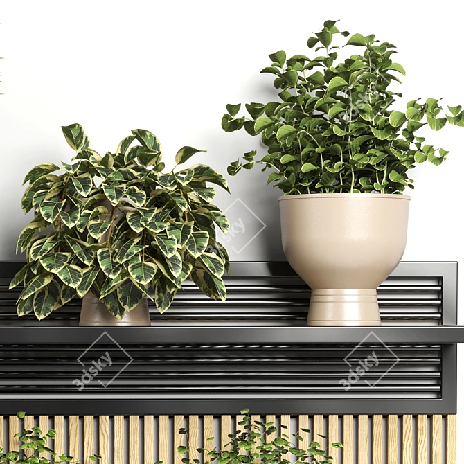 Handmade Pottery Wall Plant Vase 3D model image 3