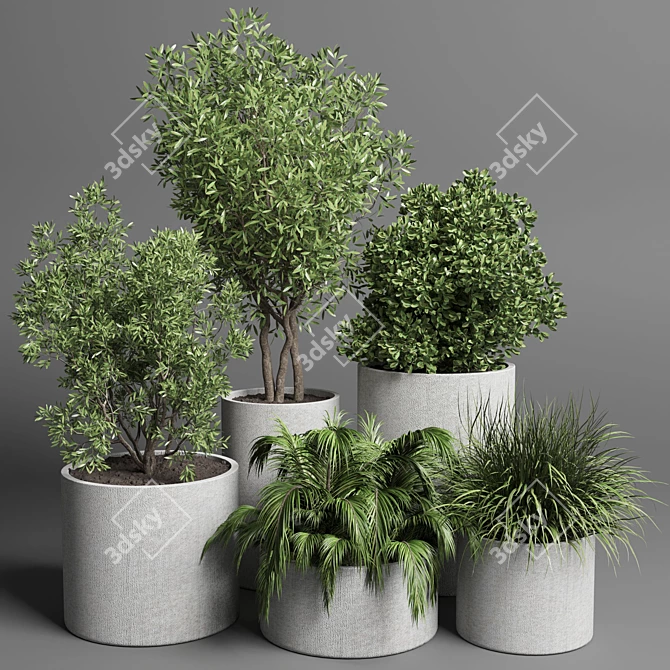 34 Pot Grass & Tree Outdoor Plant Collection 3D model image 1