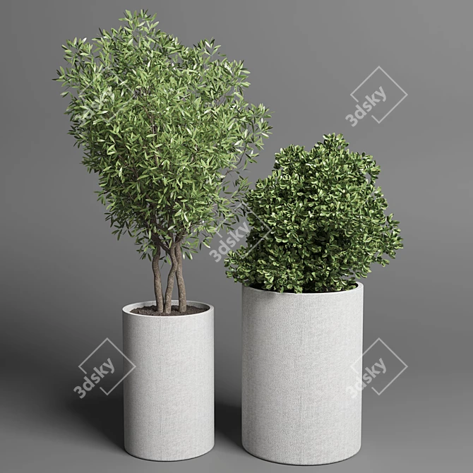 34 Pot Grass & Tree Outdoor Plant Collection 3D model image 2