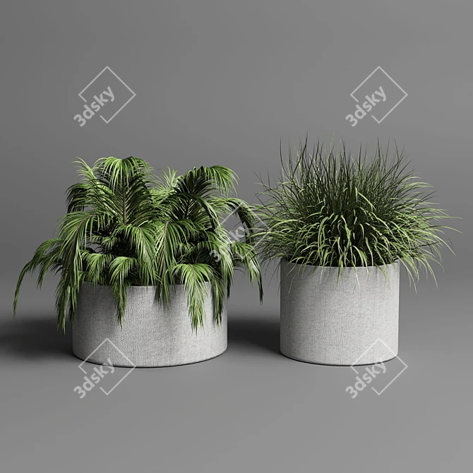 34 Pot Grass & Tree Outdoor Plant Collection 3D model image 3