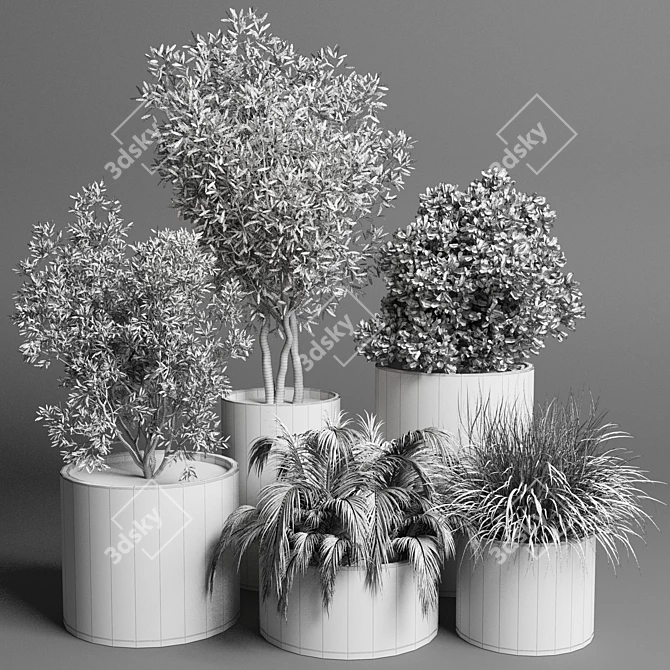 34 Pot Grass & Tree Outdoor Plant Collection 3D model image 4