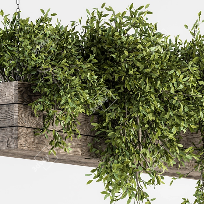 Green Oasis: 228 Hanging Plants Kit 3D model image 3