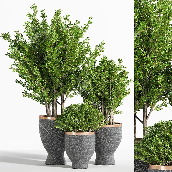 Lush Indoor Plant Set: 28 Varieties 3D model image 1