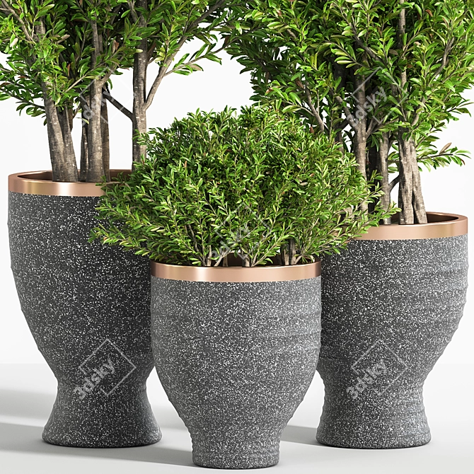 Lush Indoor Plant Set: 28 Varieties 3D model image 2