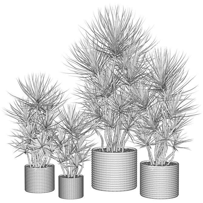 Assorted Dracaena: Perfect Indoor Plants 3D model image 2