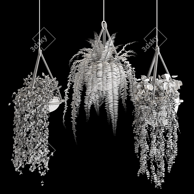 Lush Indoor Hanging Plant Trio 3D model image 4