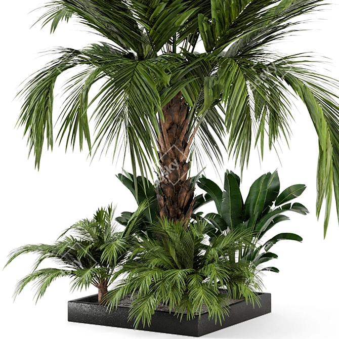 Exquisite Outdoor Plant Set 3D model image 4
