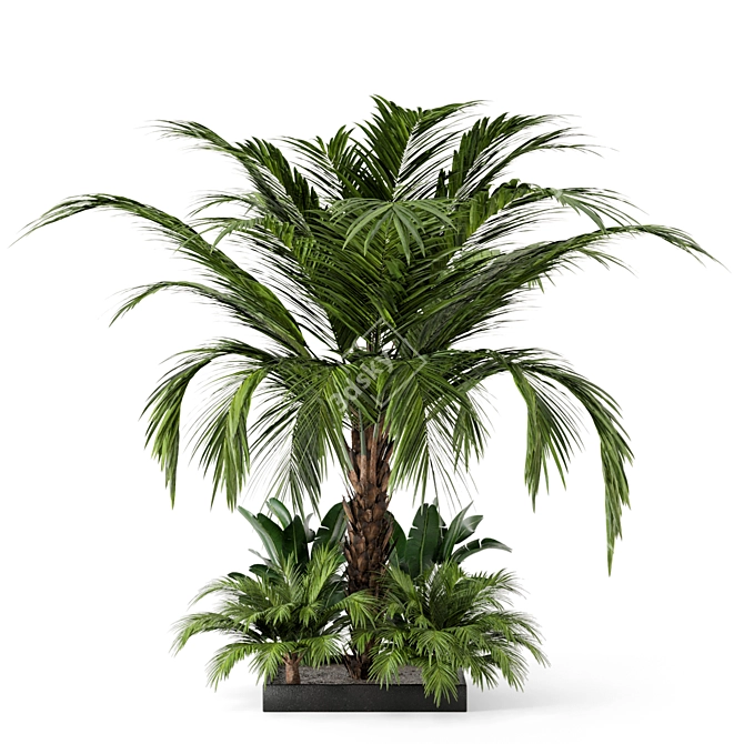 Exquisite Outdoor Plant Set 3D model image 6