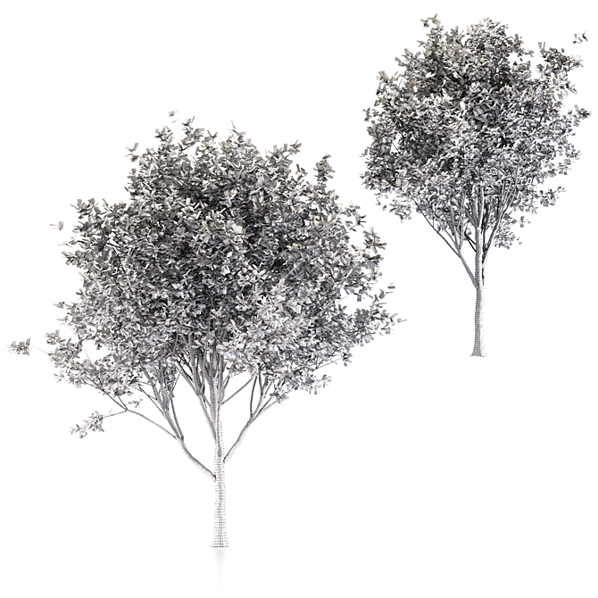  Duo Oak Tree Set  3D model image 4