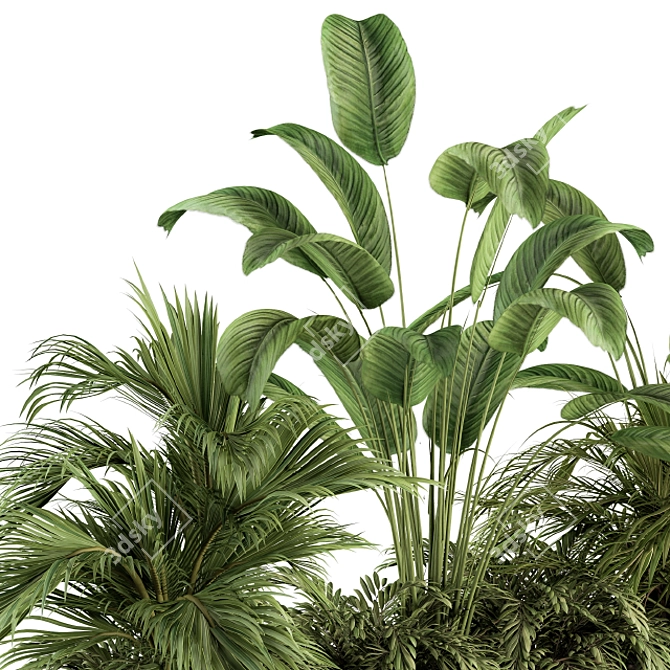 Tropical Paradise: Indoor Plant Set 3D model image 3