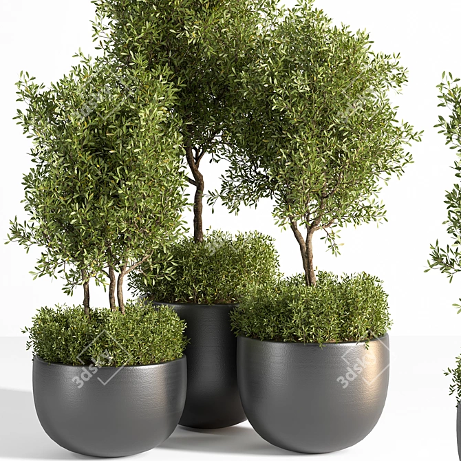 Outdoor Oasis Plant Set 3D model image 2