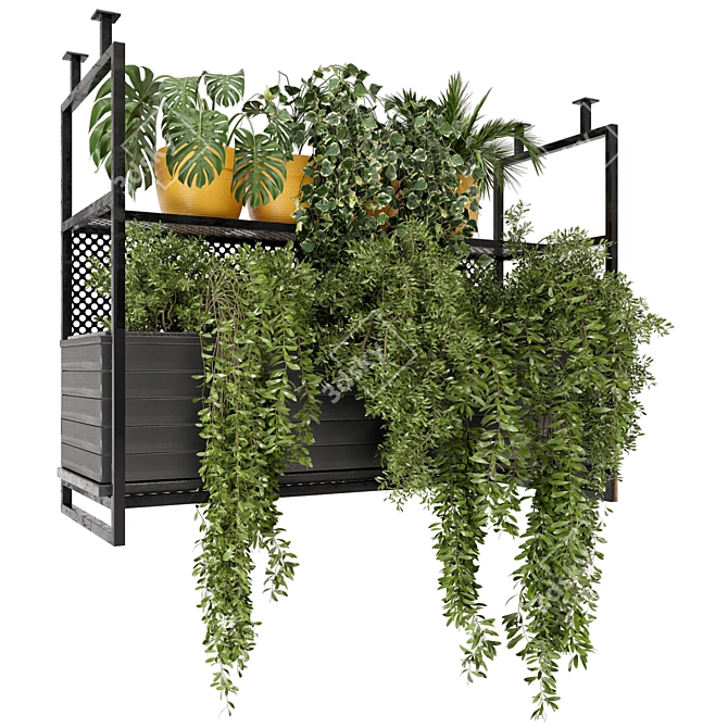 Metal Box Hanging Plants - Set 152 3D model image 1