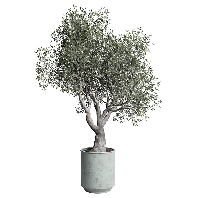 Handmade Metal Old Pot Outdoor Plant 3D model image 1