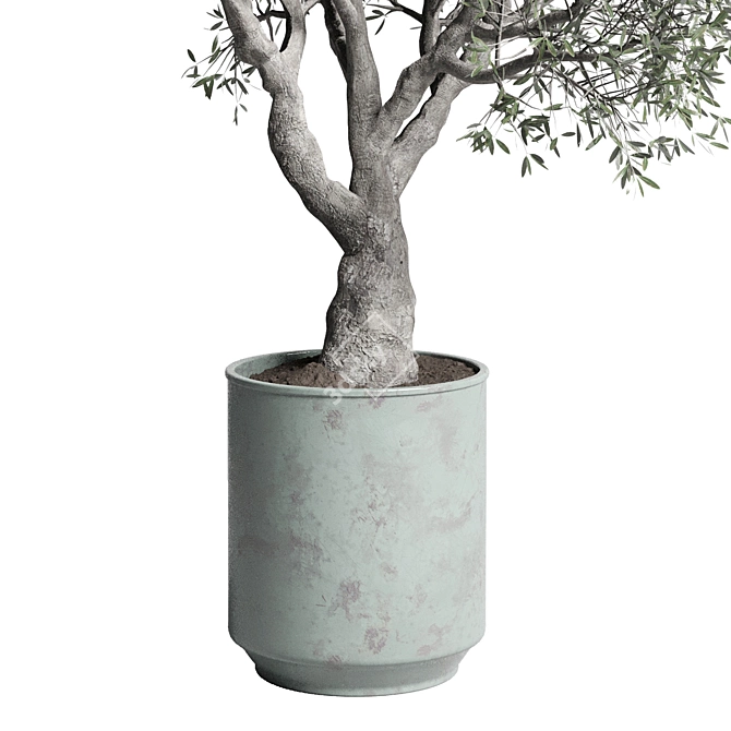 Handmade Metal Old Pot Outdoor Plant 3D model image 2